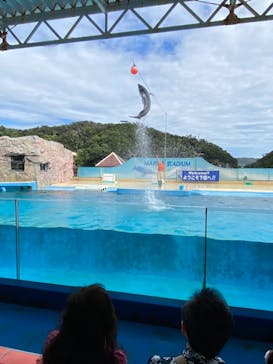 下田海中水族館に投稿された画像（2021/9/19）