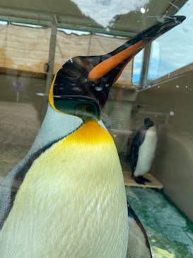 下田海中水族館に投稿された画像（2021/9/19）