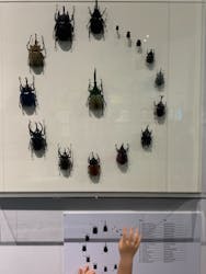 特別展「昆虫」(名古屋市科学館)に投稿された画像（2021/9/19）
