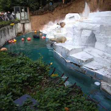 天王寺動物園に投稿された画像（2021/9/19）