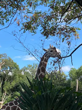 天王寺動物園に投稿された画像（2021/9/19）