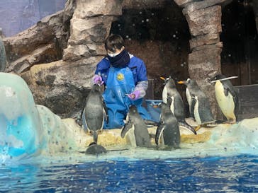 名古屋港水族館に投稿された画像（2021/9/19）