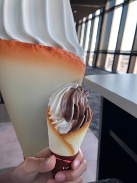 東京タワーに投稿された画像（2021/9/19）