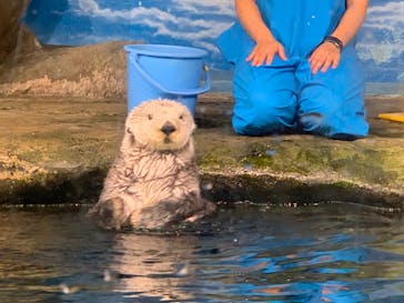 マリンワールド海の中道に投稿された画像（2021/9/19）