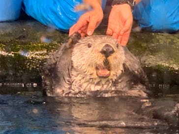 マリンワールド海の中道に投稿された画像（2021/9/19）