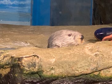 マリンワールド海の中道に投稿された画像（2021/9/19）