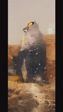 マクセル アクアパーク品川に投稿された画像（2021/9/19）