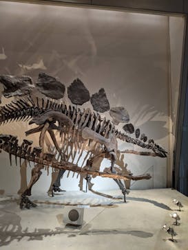 国立科学博物館に投稿された画像（2021/9/19）