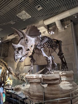 国立科学博物館に投稿された画像（2021/9/19）