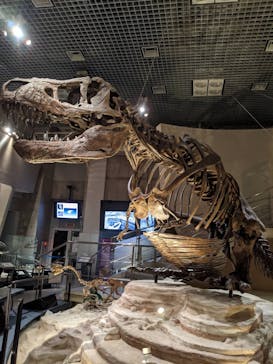 国立科学博物館に投稿された画像（2021/9/19）