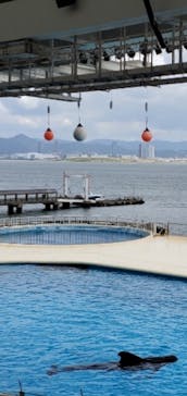 マリンワールド海の中道に投稿された画像（2021/9/19）