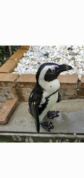 マリンワールド海の中道に投稿された画像（2021/9/19）