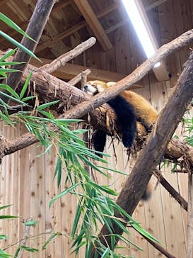 伊豆シャボテン動物公園に投稿された画像（2021/9/19）