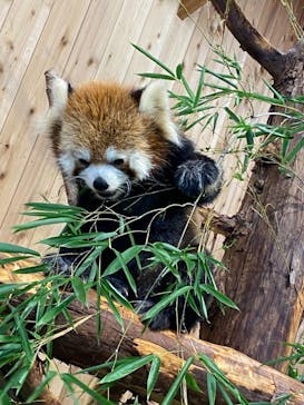 伊豆シャボテン動物公園に投稿された画像（2021/9/19）