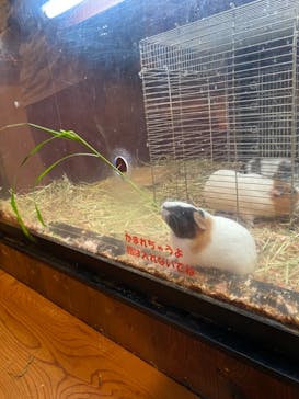 伊豆シャボテン動物公園に投稿された画像（2021/9/19）