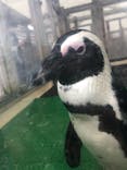 名古屋港水族館に投稿された画像（2021/9/19）
