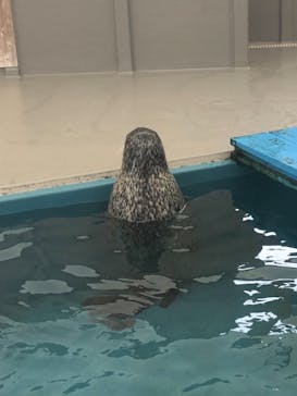 名古屋港水族館に投稿された画像（2021/9/19）