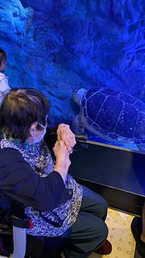 マクセル アクアパーク品川に投稿された画像（2021/9/19）