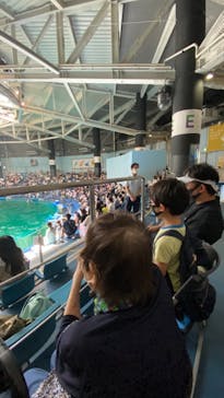 マクセル アクアパーク品川に投稿された画像（2021/9/19）