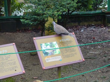 東武動物公園に投稿された画像（2021/9/19）