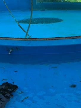 サンシャイン水族館に投稿された画像（2021/9/19）