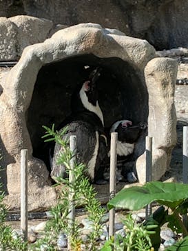 サンシャイン水族館に投稿された画像（2021/9/19）