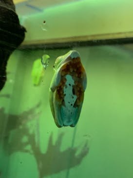 サンシャイン水族館に投稿された画像（2021/9/19）