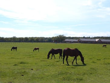 ノーザンホースパークに投稿された画像（2021/9/19）