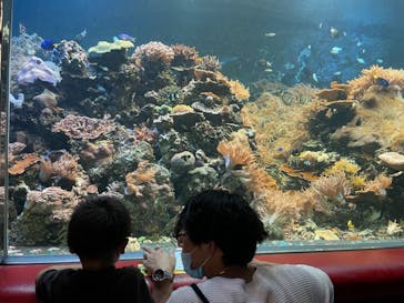 株式会社Gに投稿された画像（2021/9/19）