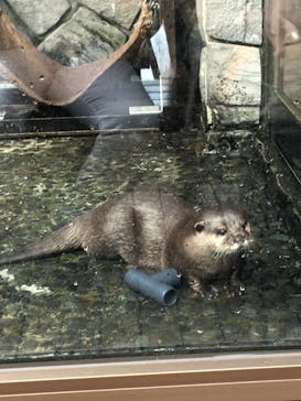 伊豆・三津シーパラダイスに投稿された画像（2021/9/19）