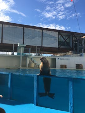伊豆・三津シーパラダイスに投稿された画像（2021/9/19）