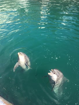 伊豆・三津シーパラダイスに投稿された画像（2021/9/19）