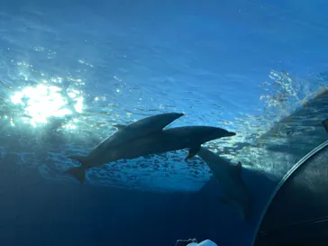 横浜・八景島シーパラダイスに投稿された画像（2021/9/19）
