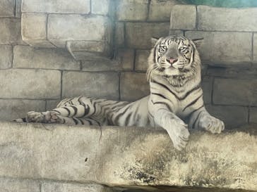 東武動物公園に投稿された画像（2021/9/19）