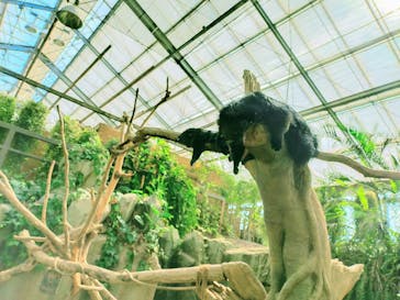 神戸どうぶつ王国に投稿された画像（2021/9/19）