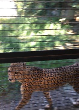 群馬サファリパークに投稿された画像（2021/9/19）