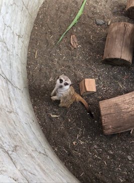 群馬サファリパークに投稿された画像（2021/9/19）