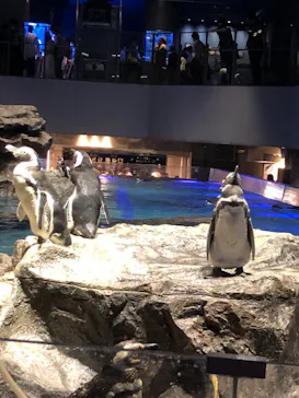 すみだ水族館に投稿された画像（2021/9/19）