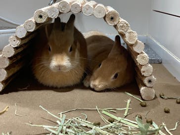 サンシャイン水族館に投稿された画像（2021/9/19）