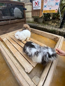 神戸どうぶつ王国に投稿された画像（2021/9/19）