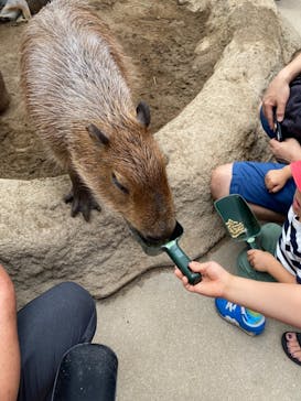 神戸どうぶつ王国に投稿された画像（2021/9/19）