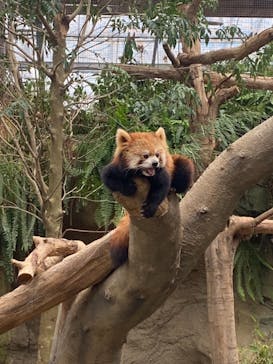 神戸どうぶつ王国に投稿された画像（2021/9/19）