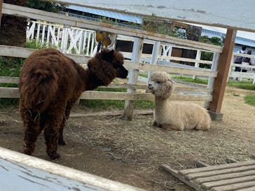 神戸どうぶつ王国に投稿された画像（2021/9/19）