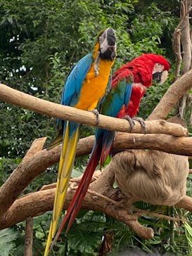 神戸どうぶつ王国に投稿された画像（2021/9/19）