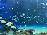 サンシャイン水族館に投稿された画像（2021/9/19）
