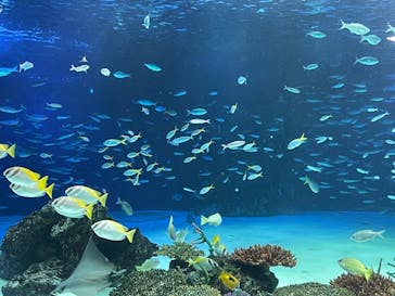 サンシャイン水族館に投稿された画像（2021/9/19）
