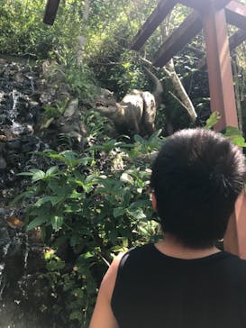 御菓子御殿　名護店　やんばる亜熱帯の森DINO恐竜PARKに投稿された画像（2021/9/19）