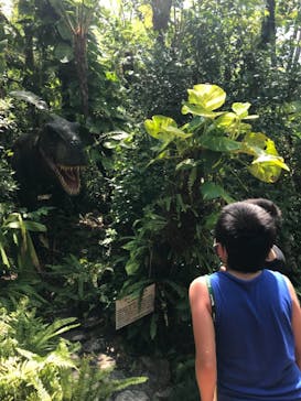 御菓子御殿　名護店　やんばる亜熱帯の森DINO恐竜PARKに投稿された画像（2021/9/19）