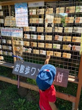 世界の名犬牧場に投稿された画像（2021/9/19）