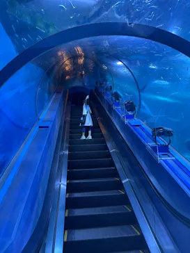 横浜・八景島シーパラダイスに投稿された画像（2021/9/19）